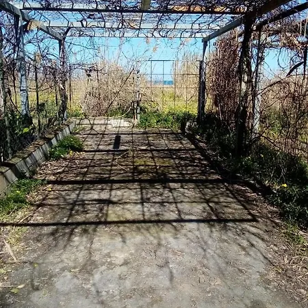 Gelsomino Villa Mongiove