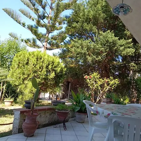 Gelsomino فيلة Mongiove